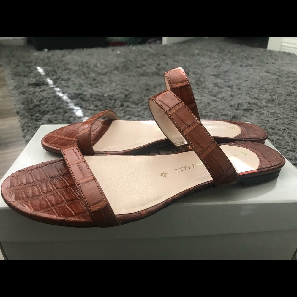 Nancy Gonzalez brown slides